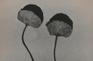 Jeff Cowen, P44, 2020-2023, gelatinezilverdruk, © Jeff Cowen